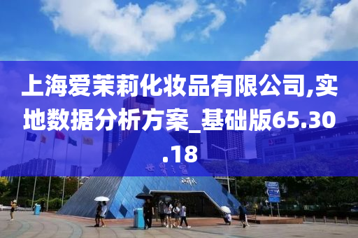 上海爱茉莉化妆品有限公司,实地数据分析方案_基础版65.30.18