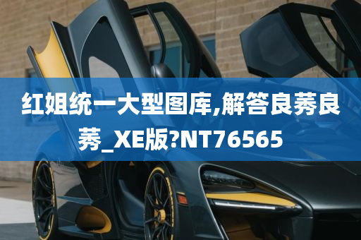 红姐统一大型图库,解答良莠良莠_XE版?NT76565