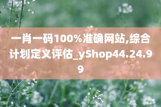 一肖一码100%准确网站,综合计划定义评估_yShop44.24.99