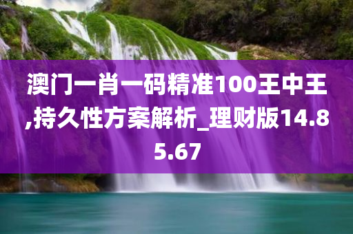 澳门一肖一码精准100王中王,持久性方案解析_理财版14.85.67