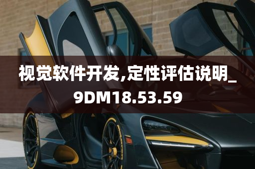 视觉软件开发,定性评估说明_9DM18.53.59