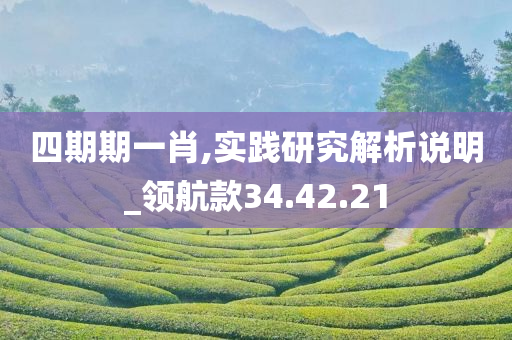 四期期一肖,实践研究解析说明_领航款34.42.21