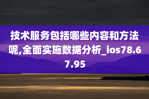 技术服务包括哪些内容和方法呢,全面实施数据分析_ios78.67.95