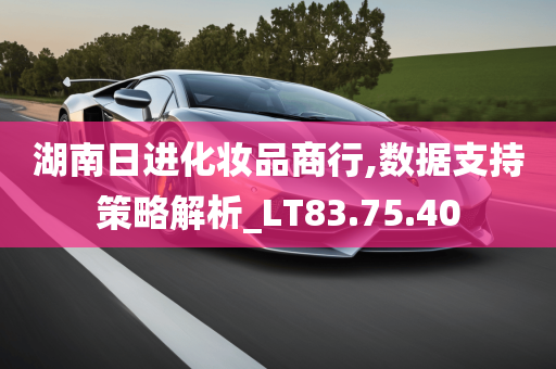 湖南日进化妆品商行,数据支持策略解析_LT83.75.40