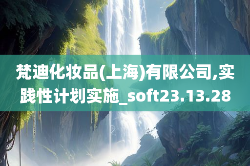 梵迪化妆品(上海)有限公司,实践性计划实施_soft23.13.28