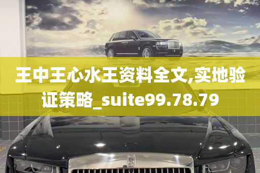 王中王心水王资料全文,实地验证策略_suite99.78.79