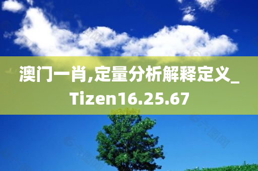 澳门一肖,定量分析解释定义_Tizen16.25.67