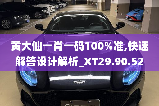 黄大仙一肖一码100%准,快速解答设计解析_XT29.90.52