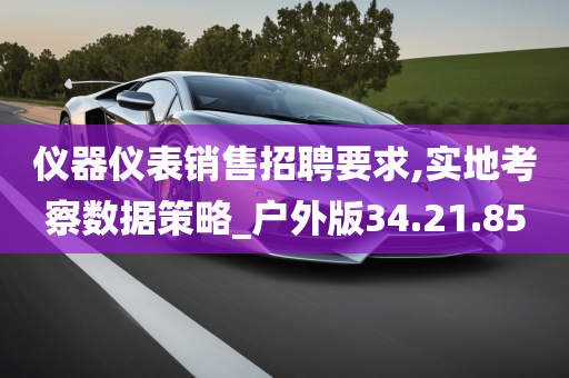 仪器仪表销售招聘要求,实地考察数据策略_户外版34.21.85