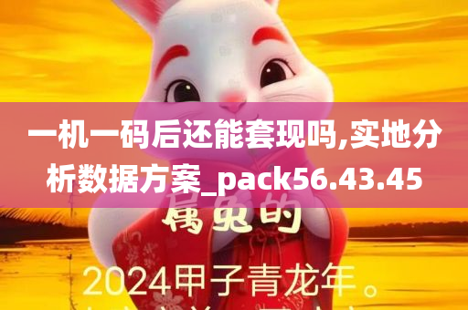 一机一码后还能套现吗,实地分析数据方案_pack56.43.45