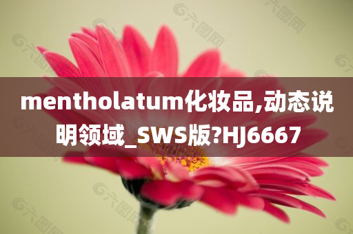 mentholatum化妆品,动态说明领域_SWS版?HJ6667