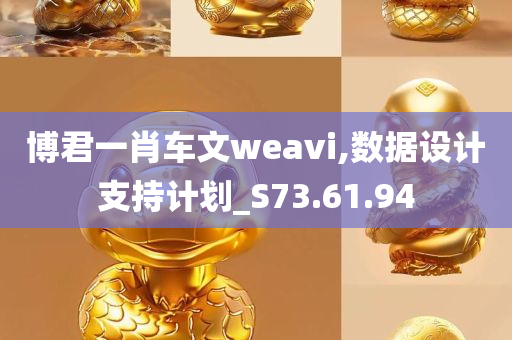 博君一肖车文weavi,数据设计支持计划_S73.61.94