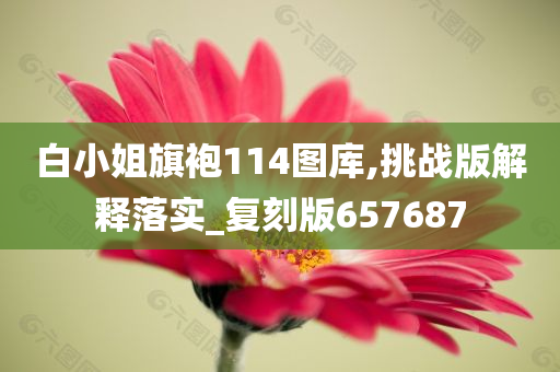 白小姐旗袍114图库,挑战版解释落实_复刻版657687