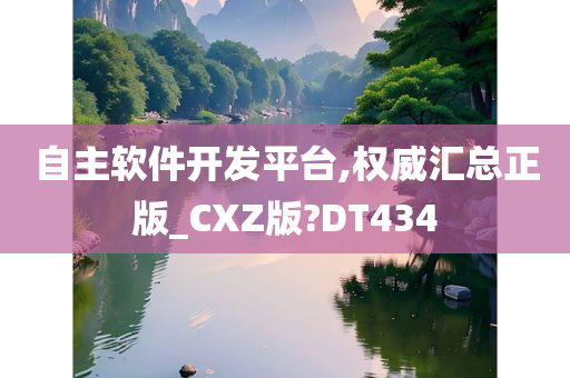 自主软件开发平台,权威汇总正版_CXZ版?DT434