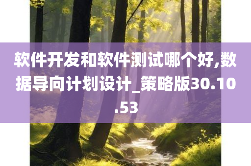 软件开发和软件测试哪个好,数据导向计划设计_策略版30.10.53