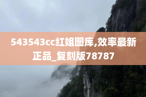 543543cc红姐图库,效率最新正品_复刻版78787