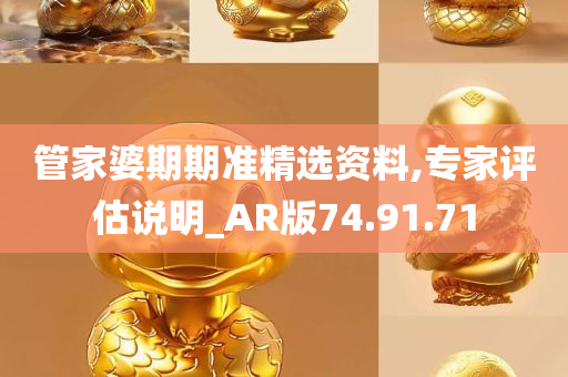 管家婆期期准精选资料,专家评估说明_AR版74.91.71