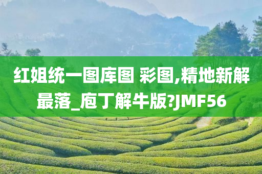 红姐统一图库图 彩图,精地新解最落_庖丁解牛版?JMF56