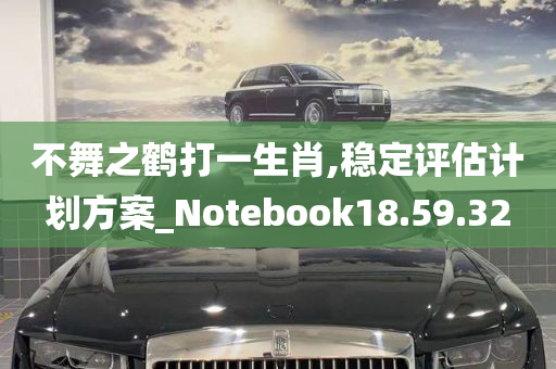 不舞之鹤打一生肖,稳定评估计划方案_Notebook18.59.32