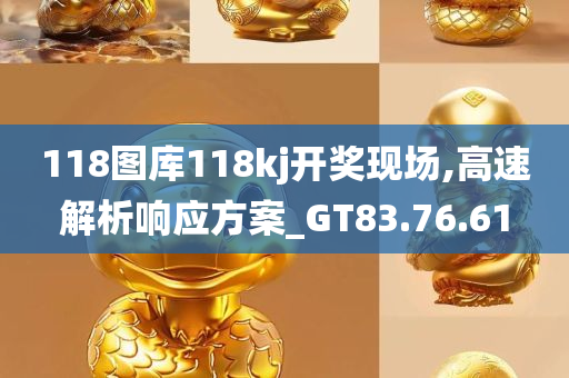 118图库118kj开奖现场,高速解析响应方案_GT83.76.61