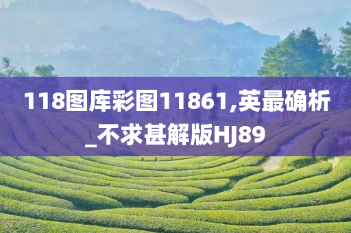 118图库彩图11861,英最确析_不求甚解版HJ89