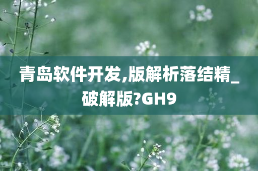 青岛软件开发,版解析落结精_破解版?GH9