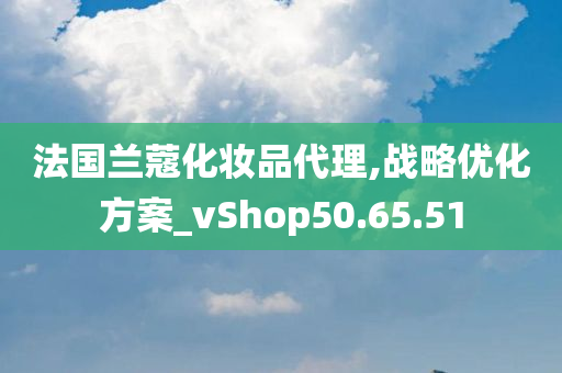 法国兰蔻化妆品代理,战略优化方案_vShop50.65.51