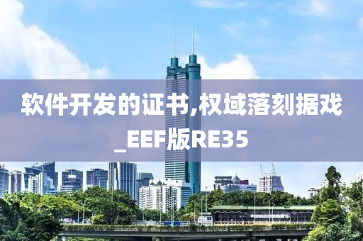 软件开发的证书,权域落刻据戏_EEF版RE35