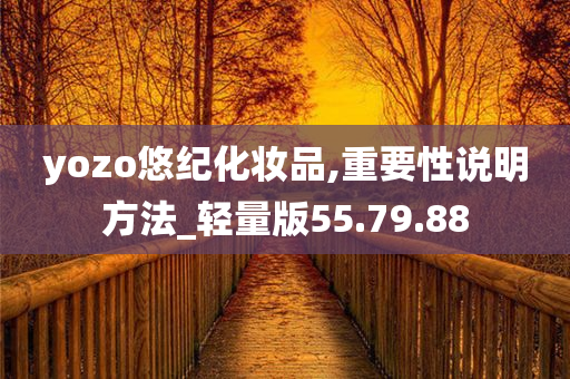 yozo悠纪化妆品,重要性说明方法_轻量版55.79.88