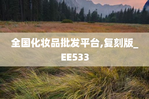 全国化妆品批发平台,复刻版_EE533