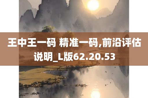 王中王一码 精准一码,前沿评估说明_L版62.20.53