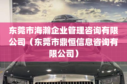 东莞市海瀚企业管理咨询有限公司（东莞市鼎恒信息咨询有限公司）