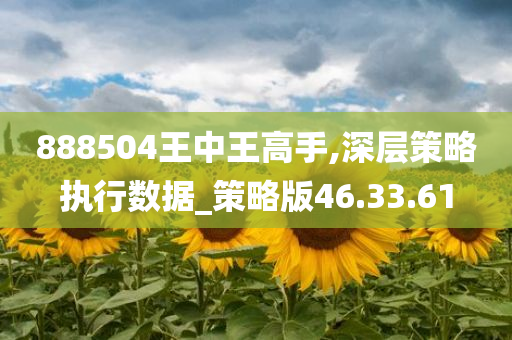 888504王中王高手,深层策略执行数据_策略版46.33.61