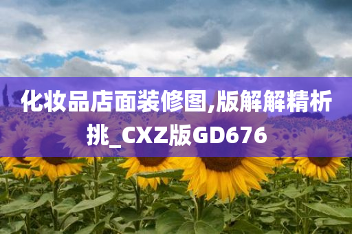 化妆品店面装修图,版解解精析挑_CXZ版GD676