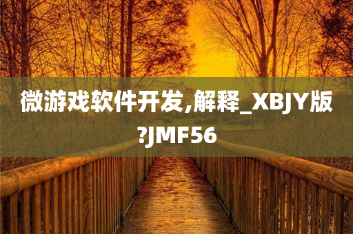 微游戏软件开发,解释_XBJY版?JMF56