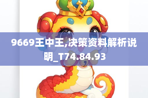 9669王中王,决策资料解析说明_T74.84.93