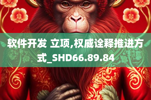 软件开发 立项,权威诠释推进方式_SHD66.89.84