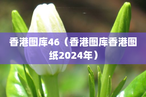 香港图库46（香港图库香港图纸2024年）