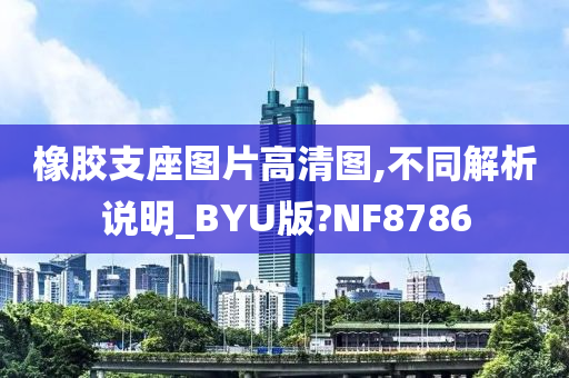 橡胶支座图片高清图,不同解析说明_BYU版?NF8786