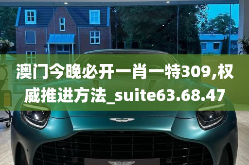 澳门今晚必开一肖一特309,权威推进方法_suite63.68.47