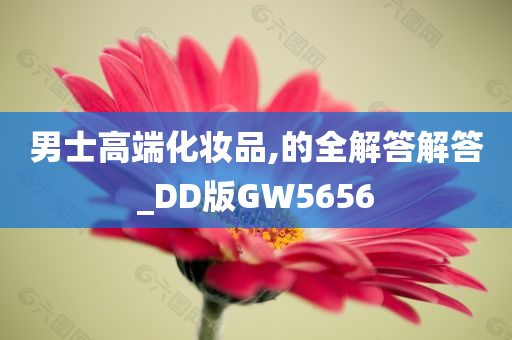 男士高端化妆品,的全解答解答_DD版GW5656