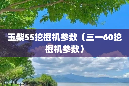 玉柴55挖掘机参数（三一60挖掘机参数）