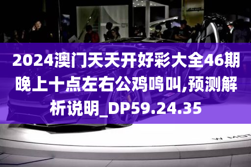 2024澳门天天开好彩大全46期晚上十点左右公鸡鸣叫,预测解析说明_DP59.24.35