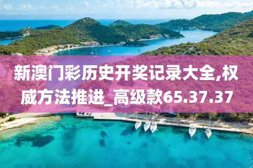 新澳门彩历史开奖记录大全,权威方法推进_高级款65.37.37