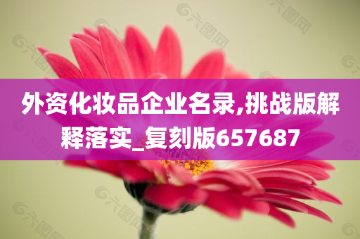 外资化妆品企业名录,挑战版解释落实_复刻版657687