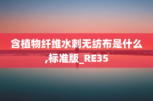 含植物纤维水刺无纺布是什么,标准版_RE35