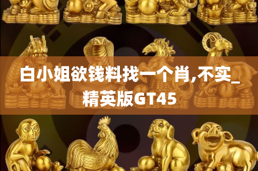 白小姐欲钱料找一个肖,不实_精英版GT45