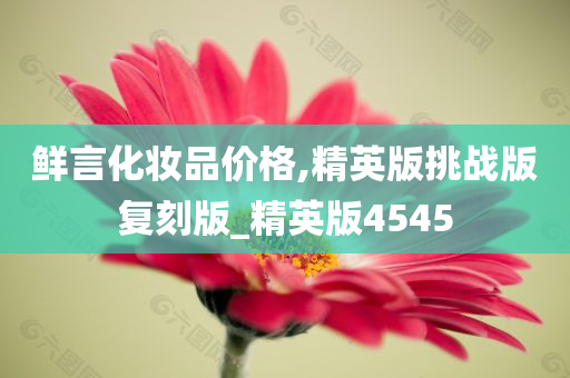 鲜言化妆品价格,精英版挑战版复刻版_精英版4545