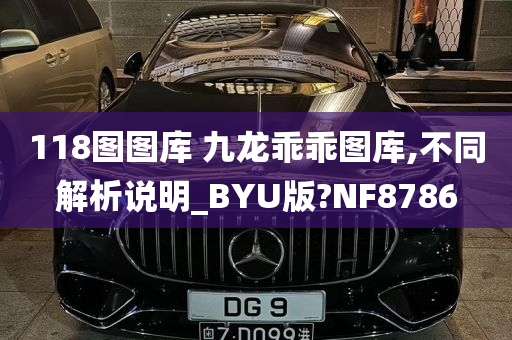 118图图库 九龙乖乖图库,不同解析说明_BYU版?NF8786