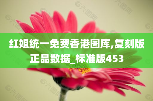 红姐统一免费香港图库,复刻版正品数据_标准版453